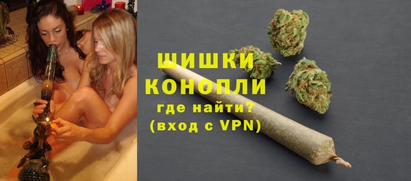 МДПВ Волоколамск