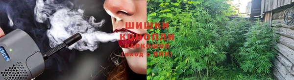 МДПВ Волоколамск
