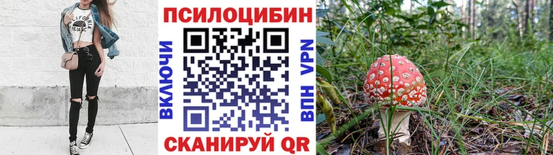 Галлюциногенные грибы Psilocybe Курлово